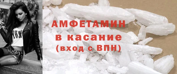 сатива Бородино