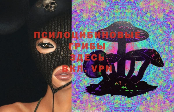гашик Бугульма