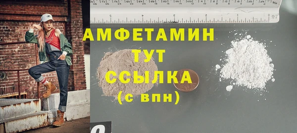 сатива Бородино