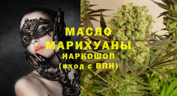 сатива Бородино