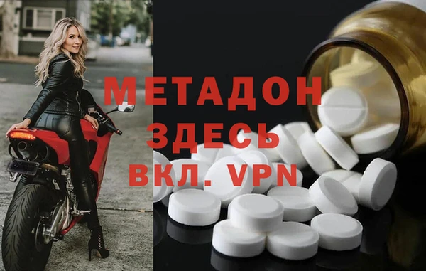 сатива Бородино