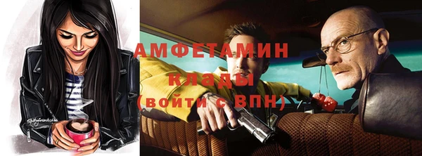 сатива Бородино