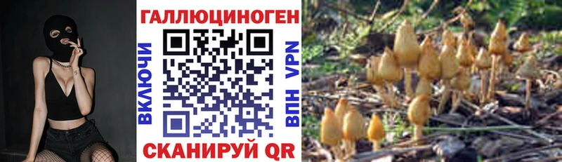 МЕГА как войти Братск Псилоцибиновые грибы мухоморы